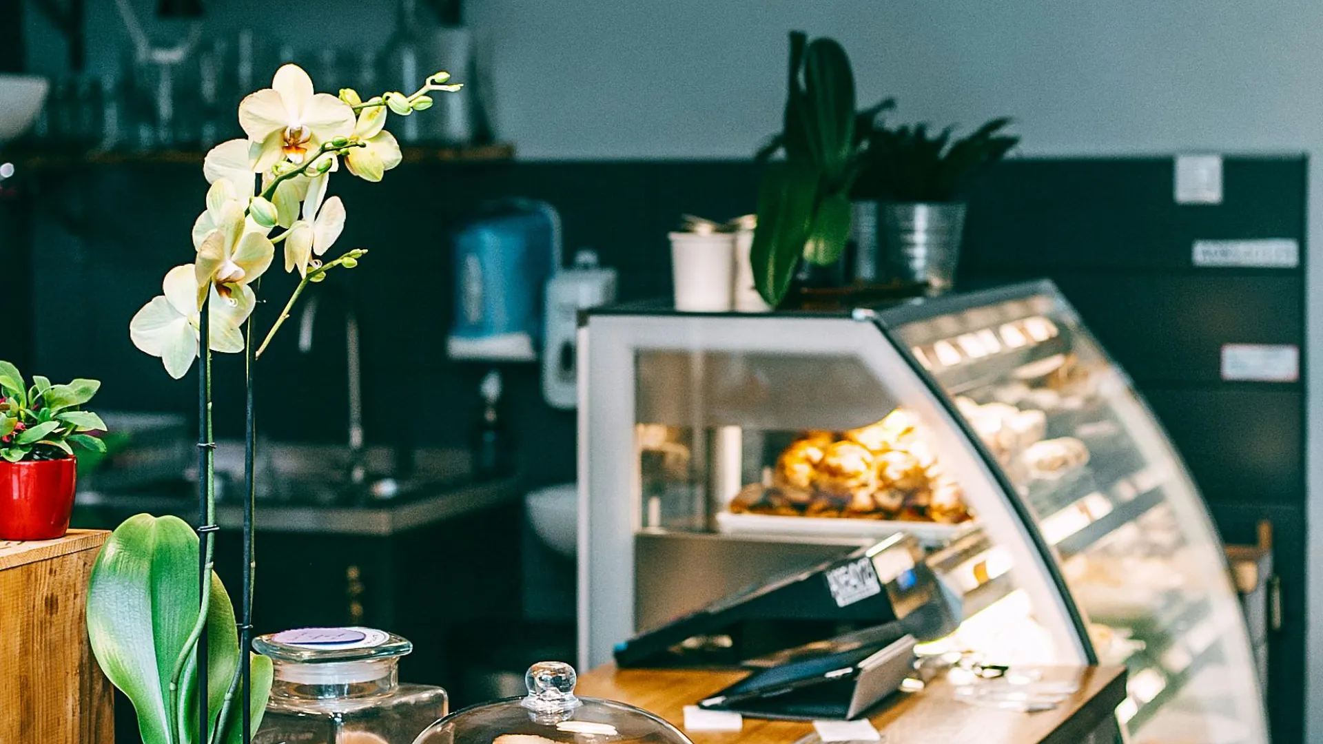 Bakeries & Dessert Shops