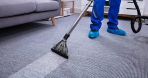 Best Professional Carpet Cleaner Guide For Long-Lasting Clean Carpets