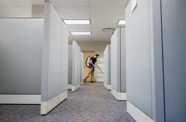 Professional carpet cleaning