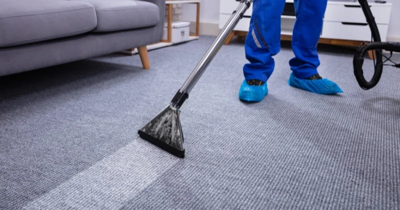 best professional carpet cleaner